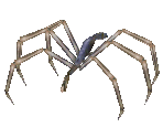 Dark Spider - Resident Evil 2