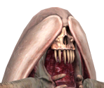 Sea Creeper - Resident Evil Revelations