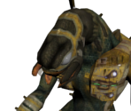 Heretic Elite - Halo 2