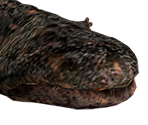 Del Lago - Resident Evil 4