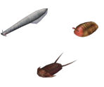 Harmless Creatures - Metroid: Other M