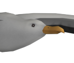 Seagull - Kingdom Hearts