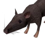 Rat - Doctor Who: The Adventure Games
