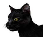 Lady Winters (Cat) - Doctor Who: The Adventure Games