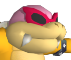 Roy Koopa - New Super Mario Bros. Wii