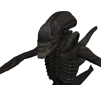 Xenomorph - Aliens vs. Predator
