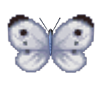 Common Butterfly - Animal Crossing: City Folk