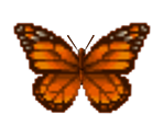 Monarch Butterfly - Animal Crossing: City Folk