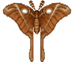 Oak Silk Moth - Animal Crossing: City Folk