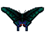 Peacock Butterfly - Animal Crossing: City Folk