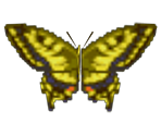 Tiger Butterfly - Animal Crossing: City Folk