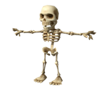 Skeleton - Zombie Panic in Wonderland
