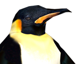Penguin - DC Universe Online