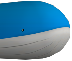 321 - Wailord - PokéPark Wii: Pikachu's Adventure