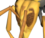 Giant Bee - Tales of Symphonia