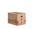 Cardboard Box Trophy - Super Smash Bros. Brawl