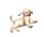 Nintendog Trophy - Super Smash Bros. Brawl