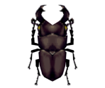 Giant Beetle - Animal Crossing: City Folk