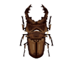 Miyama Stag Beetle - Animal Crossing: City Folk