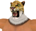 King - Tekken 6