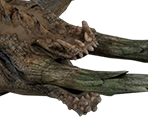 Jhen Mohran - Monster Hunter Tri