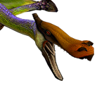 Qurupeco - Monster Hunter Tri