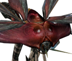 Bnahabra - Monster Hunter Tri