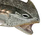 Epioth - Monster Hunter Tri