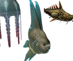 Fish - Monster Hunter Tri