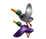 Ducks Trophy - Super Smash Bros. Melee