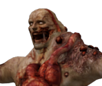 Tyrant - Resident Evil 0