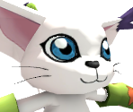Gatomon - Digimon Masters