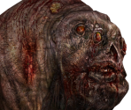 Flesh - S.T.A.L.K.E.R.: Call of Pripyat