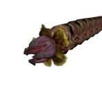 Sandfang - Metroid: Other M