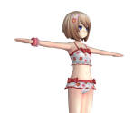 Blanc (Vermillion Flower) - Hyperdimension Neptunia Victory
