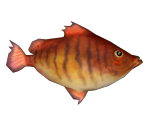 Orange Boar Fish - LittleBigPlanet