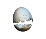 Cracked Egg of Pwnage - Roblox