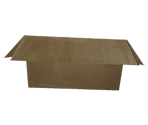 Cardboard Box - Dead Rising
