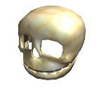 The Riddling Skull - Roblox