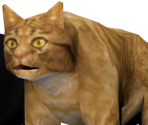 Cats - Bayonetta