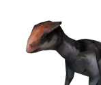 Homalocephale - Jurassic Park: Operation Genesis