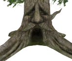 Deku Tree - Hyrule Warriors