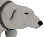 Naga - Legend of Korra