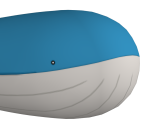 #321 Wailord - Pokémon X / Y