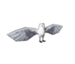 Hedwig - Harry Potter & the Chamber of Secrets