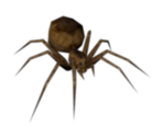 Spider (Large) - Harry Potter & the Chamber of Secrets