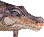 Jaggia - Monster Hunter Tri