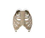 Bone Chunks - Double Dragon Neon