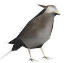 Window Bird - Monster Hunter Freedom Unite