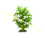 Cuttable Tree - Pokémon X / Y